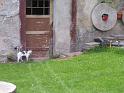 08_u_Witlikow_w_Gieraltowie (13)
